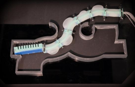 Soft robotic tentacle slithers through pipe like a snake | MIT CSAIL